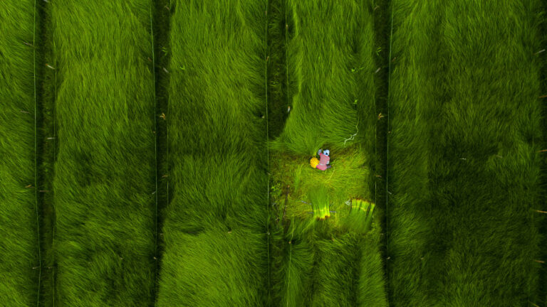 Wang Ying - 4、蔺草收割期开镰。-Start-scything-for-harvest